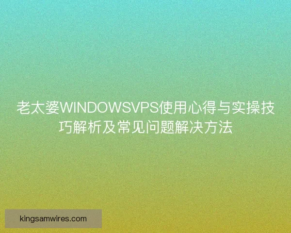 老太婆WINDOWSVPS使用心得与实操技巧解析及常见问题解决方法